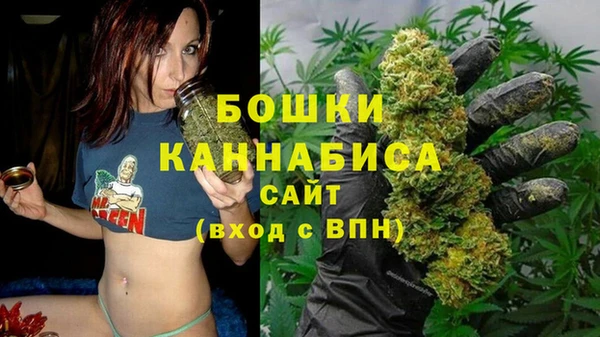 spice Медвежьегорск