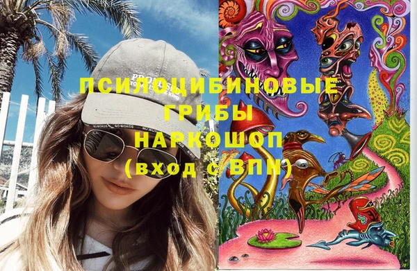 spice Медвежьегорск