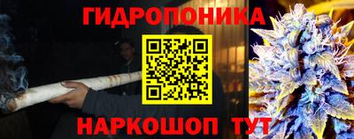 стафф Кандалакша