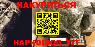 a pvp Камышлов