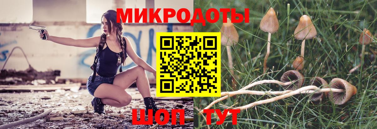 Галлюциногенные грибы Cubensis Тихвин
