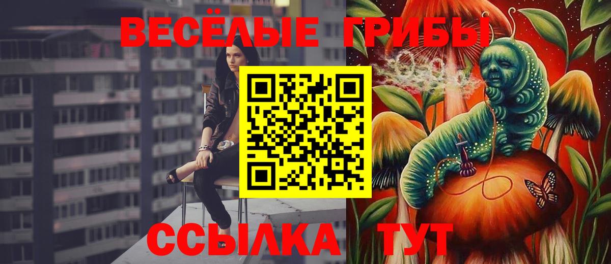 Галлюциногенные грибы прущие грибы  Вход с VPN  Галлюциногенные грибы ЛСД  Тихвин 